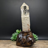 Quartz Crystal in Wood Branch Stand~CRQCWS03