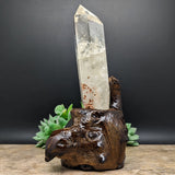 Quartz Crystal in Wood Branch Stand~CRQCWS03