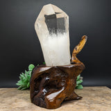 Quartz Crystal in Wood Branch Stand~CRQCWS07