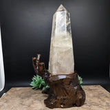 Golden Healer Quartz Crystal in Wood Branch Stand~CRQCWS09
