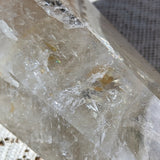 Golden Healer Quartz Crystal in Wood Branch Stand~CRQCWS09