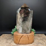 Quartz Crystal in Wood Stand~CRQCWS10
