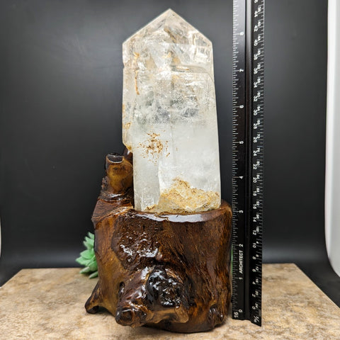 Golden Healer Lodolite Elestial Quartz Crystal in Wood Branch Stand~CRQCWS11