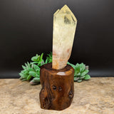 Citrine Tantric Twin Crystal in Wood Branch Stand~CRQCWS13