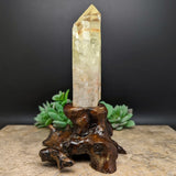 Citrine Tantric Twin Crystal in Wood Branch Stand~CRQCWS15