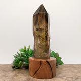 Smoky Citrine Crystal in Wood Stand~CRQCWS17