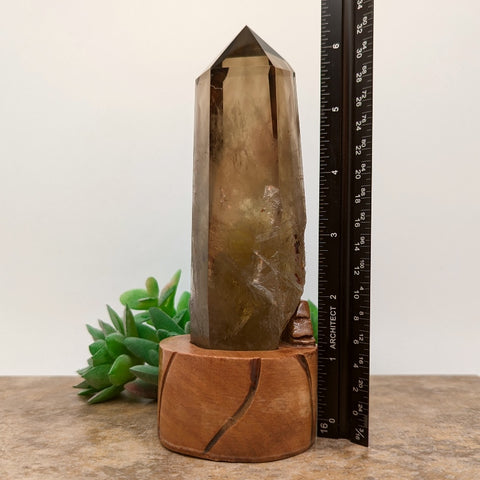 Smoky Citrine Crystal in Wood Stand~CRQCWS18