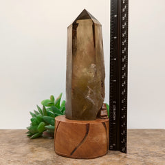 Smoky Citrine Crystal in Wood Stand~CRQCWS18