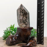 Lodolite Quartz Crystal in Wood Branch Stand~CRQCWS23