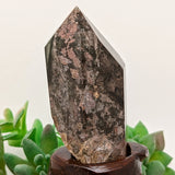 Lodolite Quartz Crystal in Wood Branch Stand~CRQCWS23