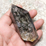 Lodolite Quartz Crystal in Wood Branch Stand~CRQCWS23