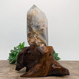 Lodolite Quartz Crystal in Wood Branch Stand~CRQCWS24