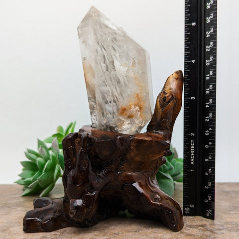 Lodolite Quartz Crystal in Wood Branch Stand~CRQCWS25