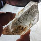 Lodolite Quartz Crystal in Wood Branch Stand~CRQCWS25