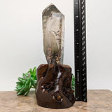 Lodolite Quartz Crystal in Wood Branch Stand~CRQCWS26