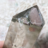 Lodolite Quartz Crystal in Wood Branch Stand~CRQCWS26