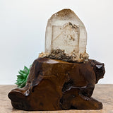 Lodolite Quartz Crystal in Wood Branch Stand~CRQCWS27