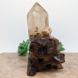 Lodolite Quartz Crystal in Wood Branch Stand~CRQCWS27