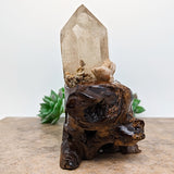 Lodolite Quartz Crystal in Wood Branch Stand~CRQCWS27