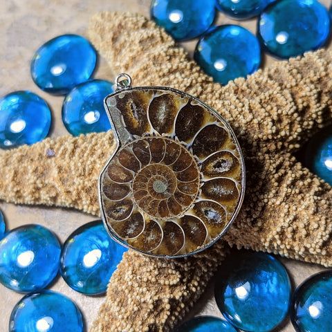 Ammonite Pendant~JAMMON02