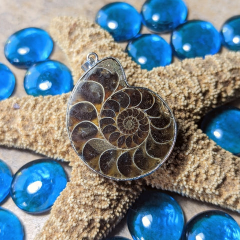 Ammonite Pendant~JAMMON03