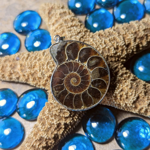 Ammonite Pendant~JAMMON04