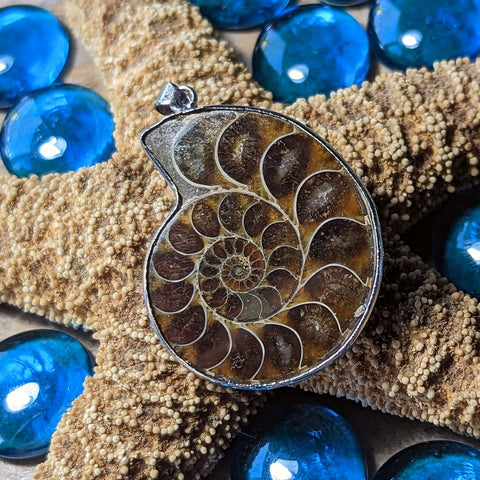 Ammonite Pendant~JAMMON05