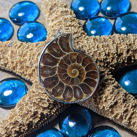 Ammonite Pendant~JAMMON09