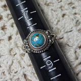 Mojave Turquoise Ring~ Size 8~JSSBMTR2
